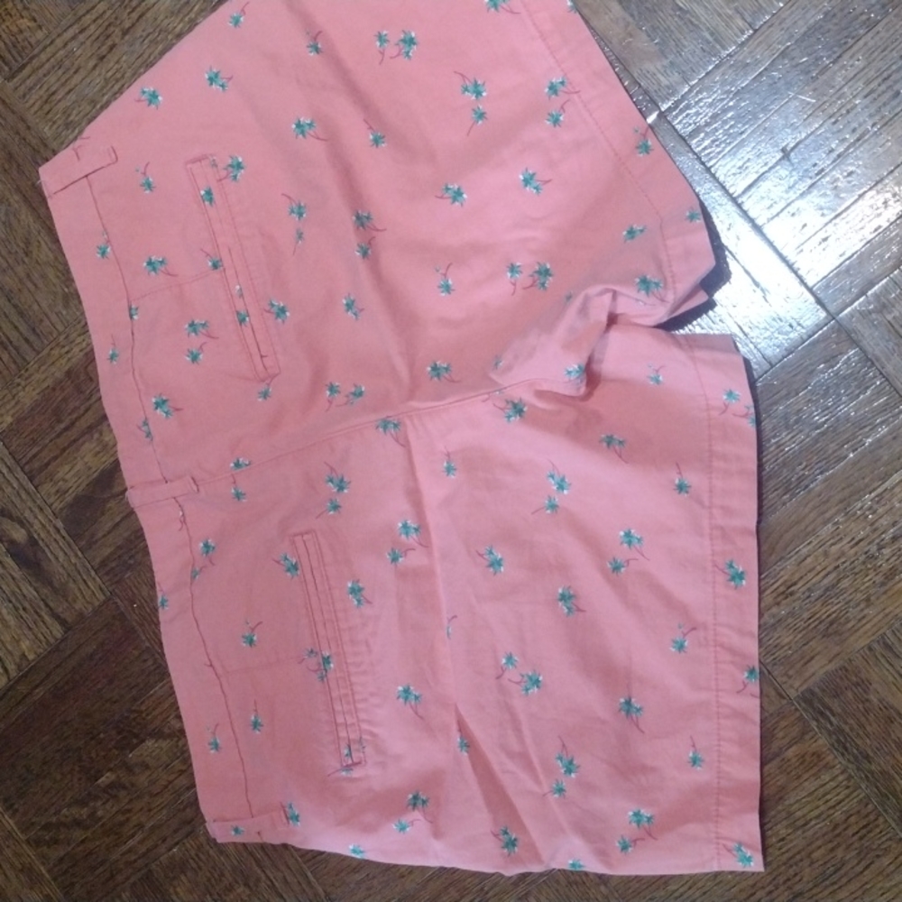 Shorts - Picture 2 of 4